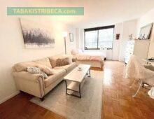 <strong><span style="font-size:14px;">295 Greenwich Street #6J</span><br><span style="color: #449967;font-size:18px;">$3,800</span></strong>