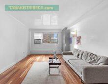 <strong><span style="font-size:14px;">195 Adams Street #3G</span><br><span style="color: #449967;font-size:18px;">$825,000 – In Contract<br></span></strong>