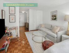 <strong><span style="font-size:14px;">295 Greenwich Street #6J</span><br><span style="color: #449967;font-size:18px;">NOW $710,000<br><br></span></strong>